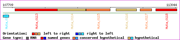 gene map