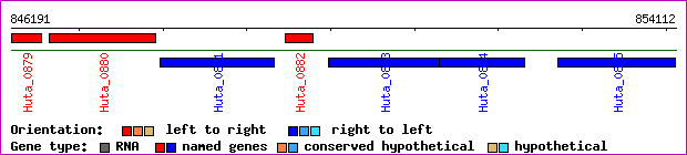 gene map
