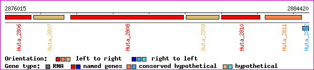 gene map