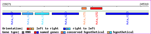 gene map