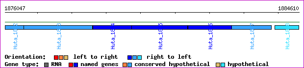 gene map