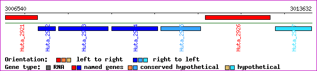 gene map
