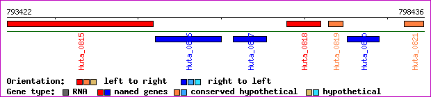 gene map