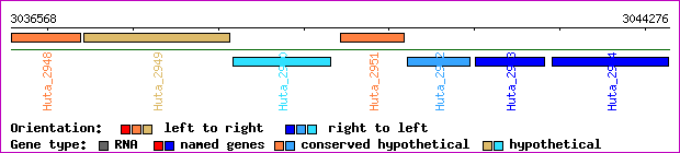 gene map
