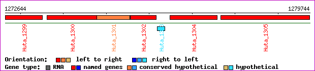 gene map