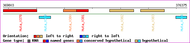 gene map