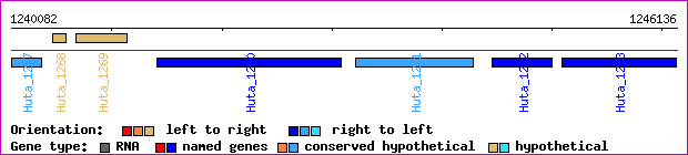 gene map