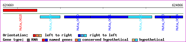 gene map