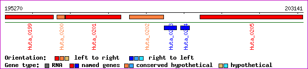 gene map