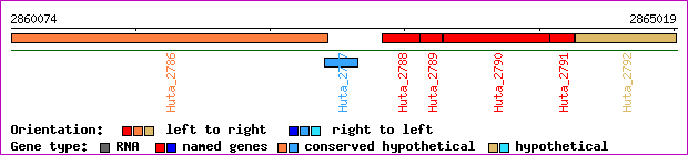 gene map