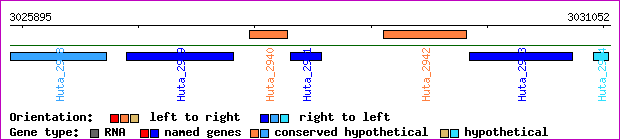 gene map