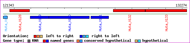 gene map