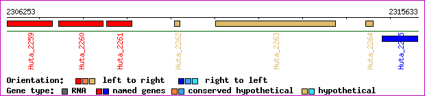 gene map