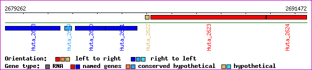 gene map