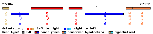 gene map
