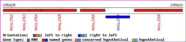 gene map