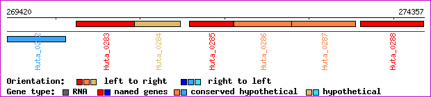 gene map