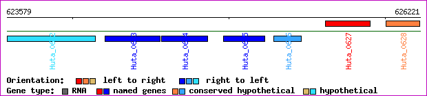 gene map