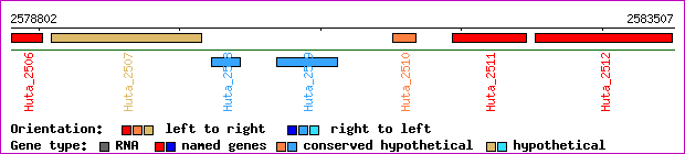 gene map