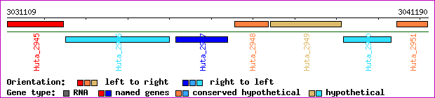 gene map