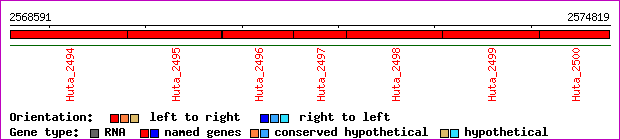 gene map