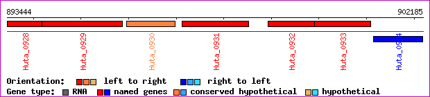 gene map
