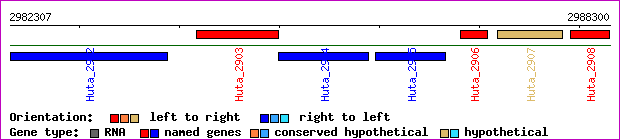 gene map