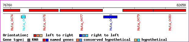 gene map