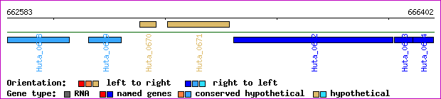 gene map