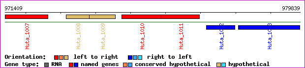 gene map