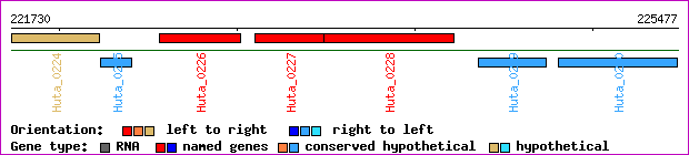 gene map