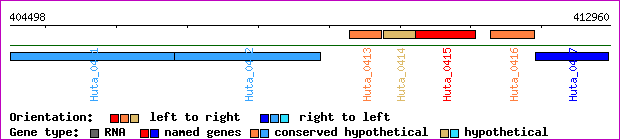 gene map