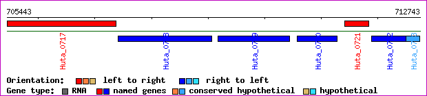 gene map