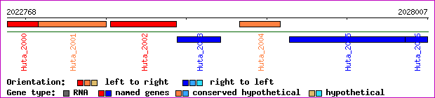 gene map