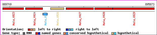 gene map