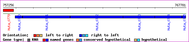 gene map