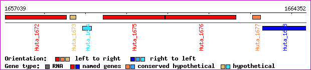 gene map