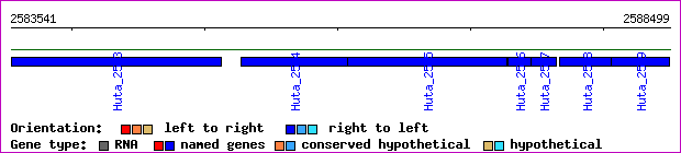 gene map