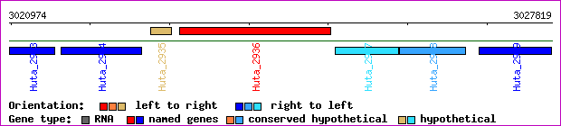 gene map