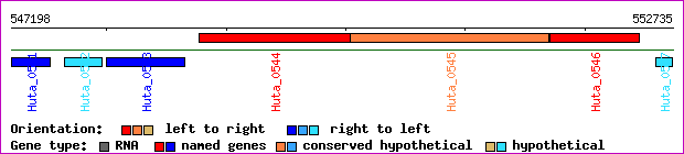 gene map