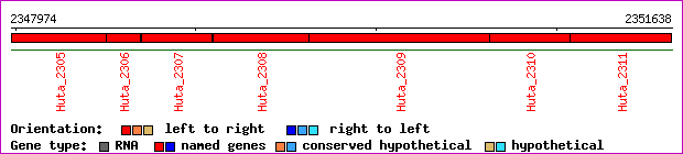 gene map