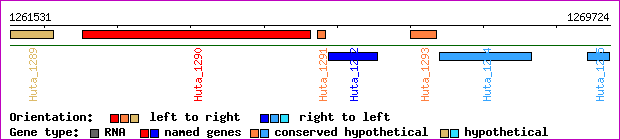 gene map