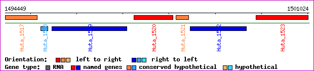 gene map