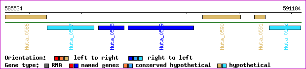 gene map