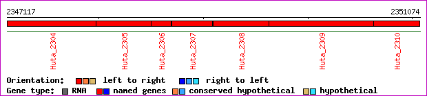 gene map