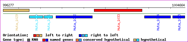 gene map