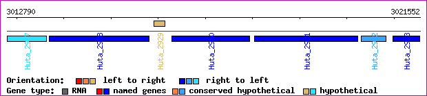 gene map