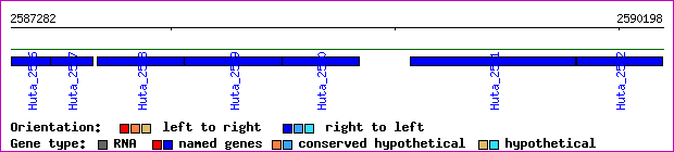 gene map