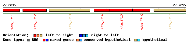 gene map