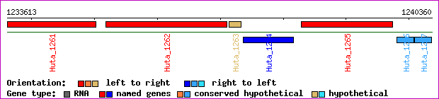 gene map
